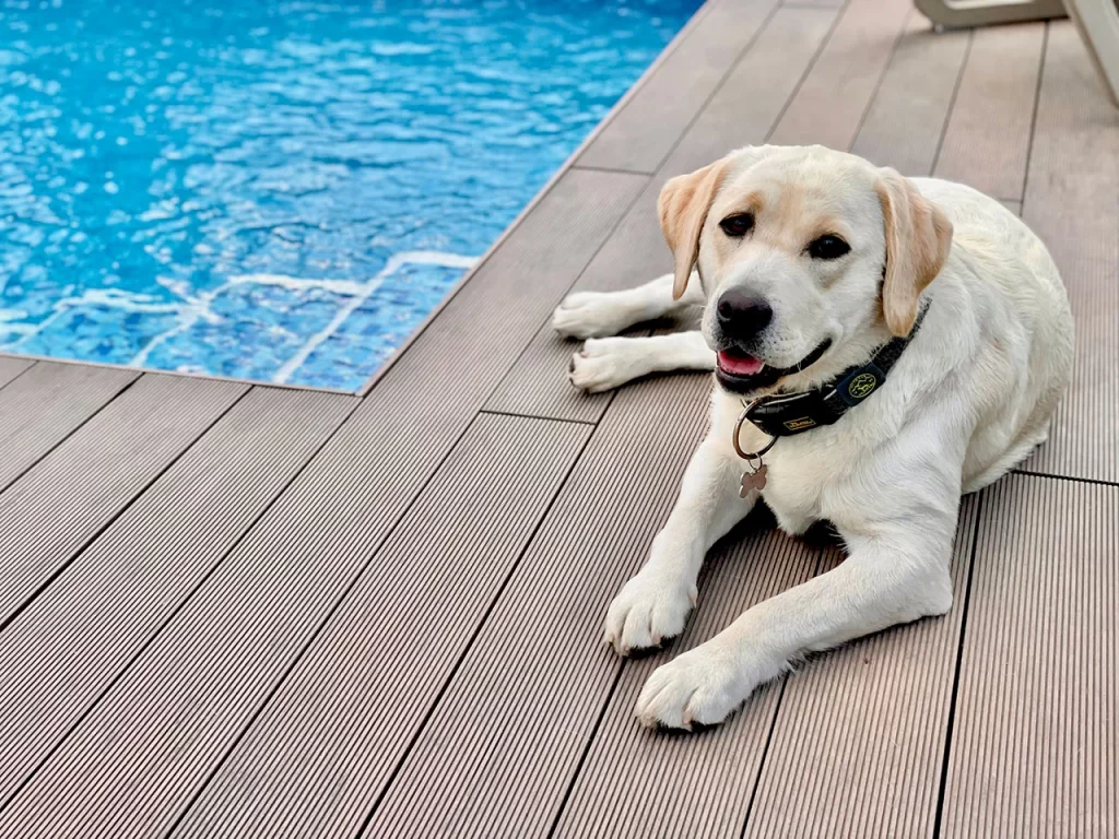 Terrassendiele für den Pool Bruggan Multicolor Wenge