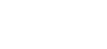 Bruggan лого монохромний
