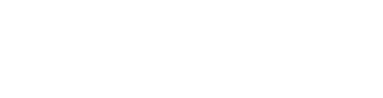 Woodplast лого монохромний