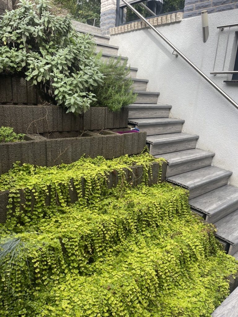 Projekte der Saison. Die schönsten und einzigartigsten Terrassen aus Woodplast-Verbundplatten.
