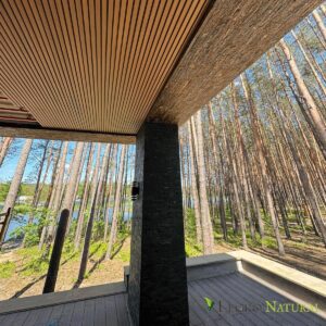 Варианты использования фасадного профиля Legro Wall Panels. Потолок из фасадной доски Legro.