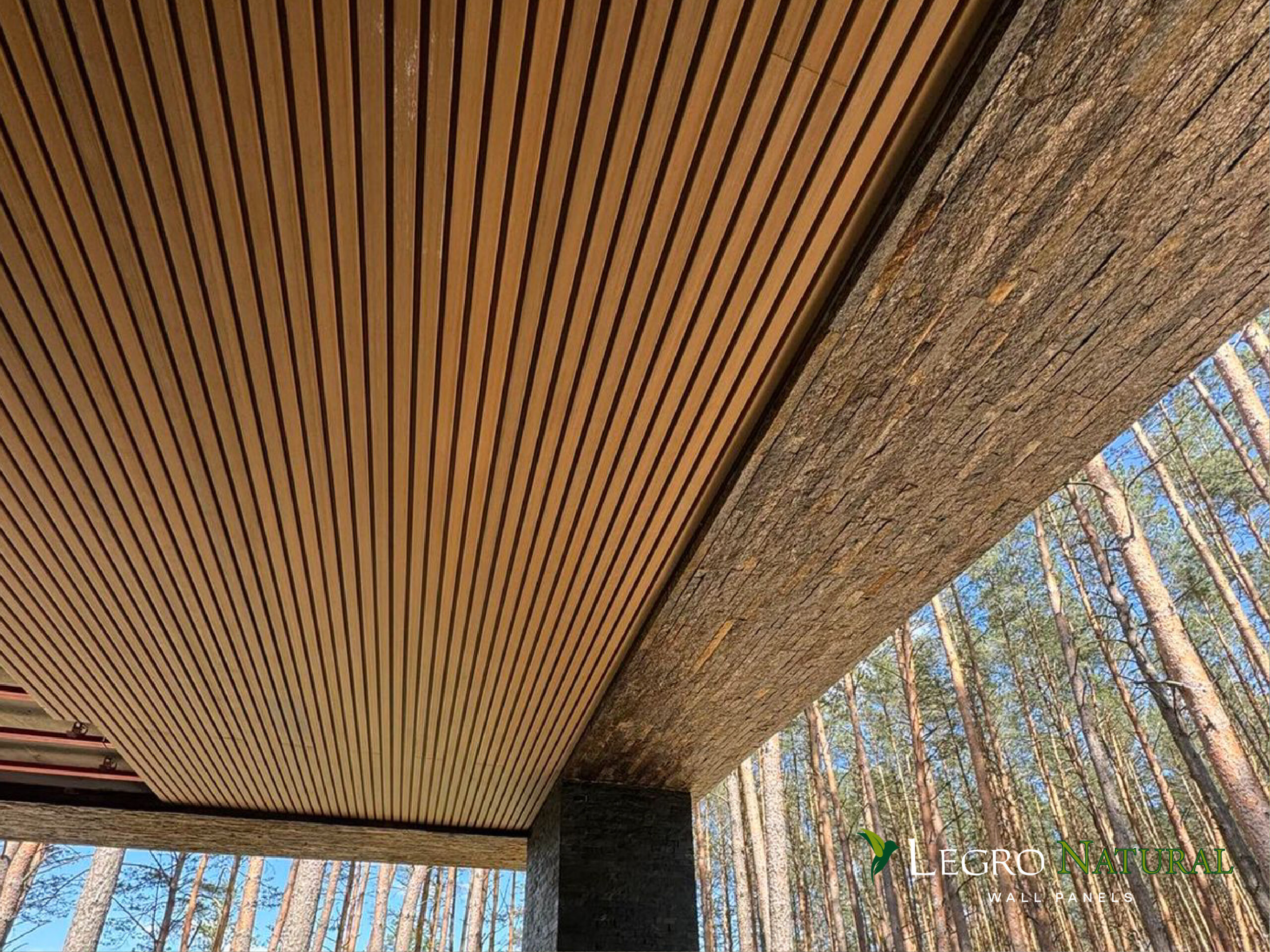 Фасадний профіль Legro Teak (FS 21, FS 15). Фасадна дошка Legro Natural Teak має максимальний захист від плям і впливу ультрафіолетового випромінювання.